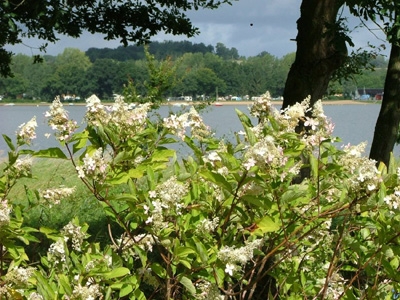 CIRCUIT DES HORTENSIAS