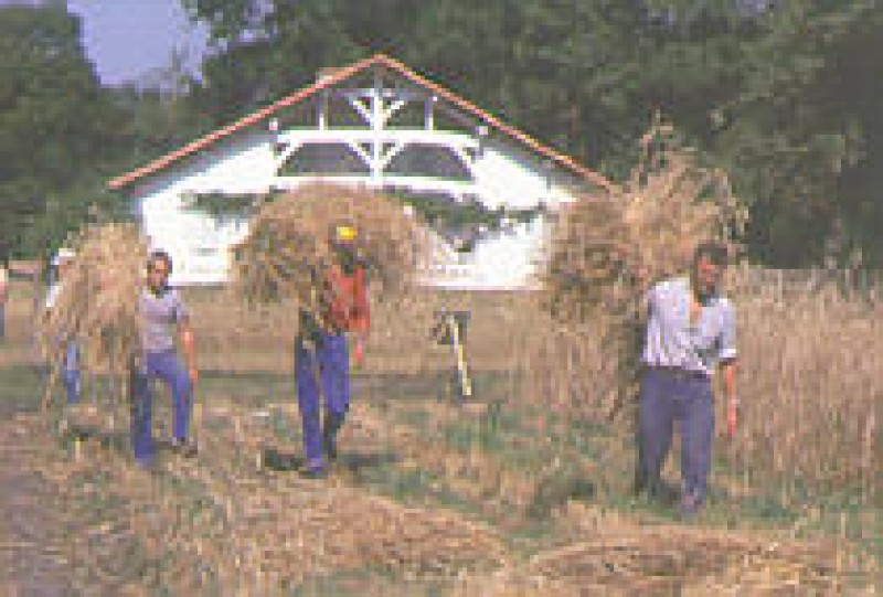 Ecomusée de la Grande Lande Marquèze