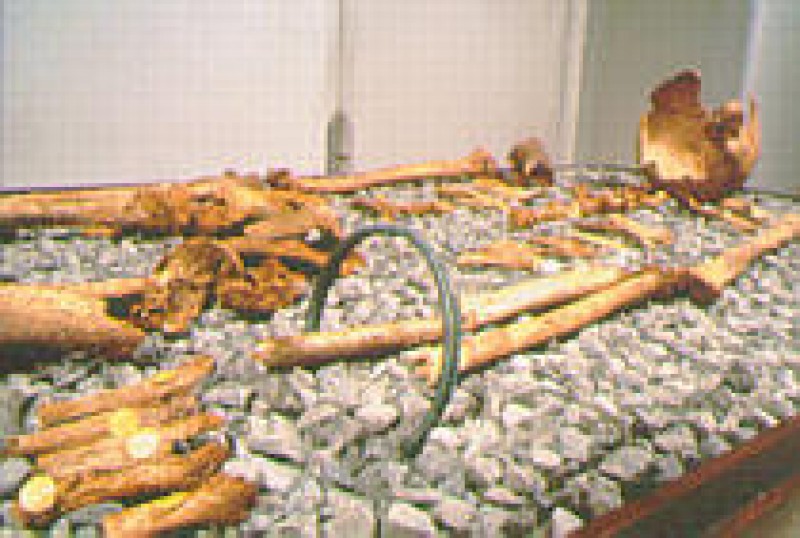 Musée Adrien Mentienne  Bry-sur-marne