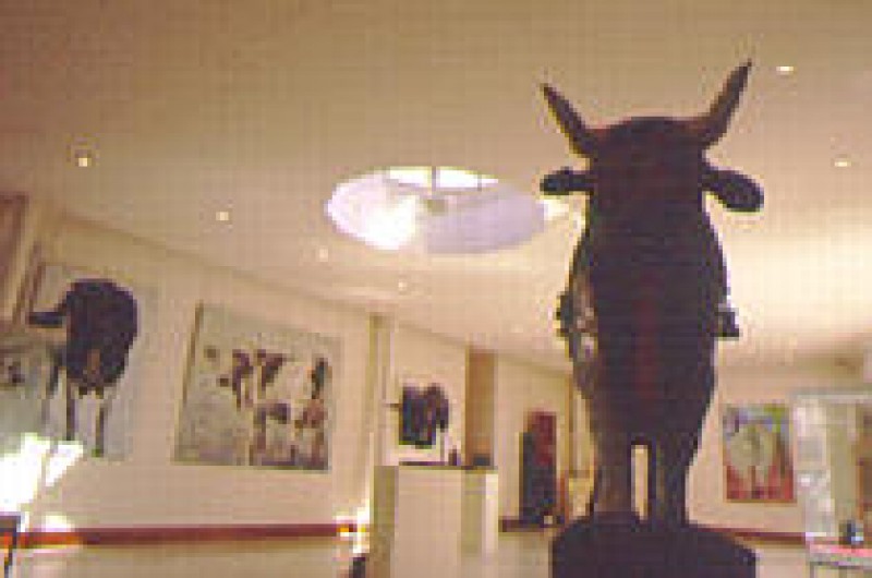 Musée Alphonse-georges Poulain Vernon