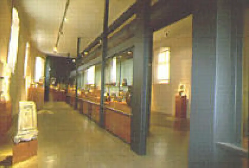 Musée d'Archéologie Méditerranéenne