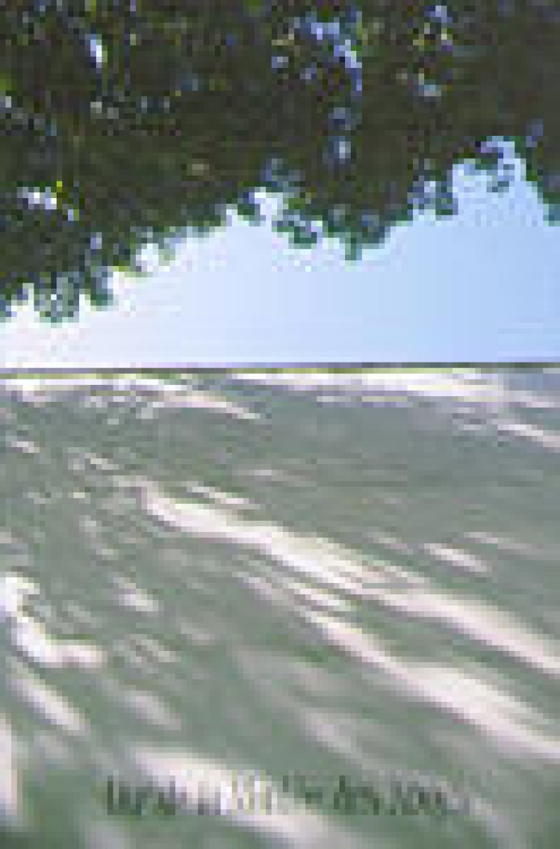 Musée D'art Et D'histoire  Saint-denis