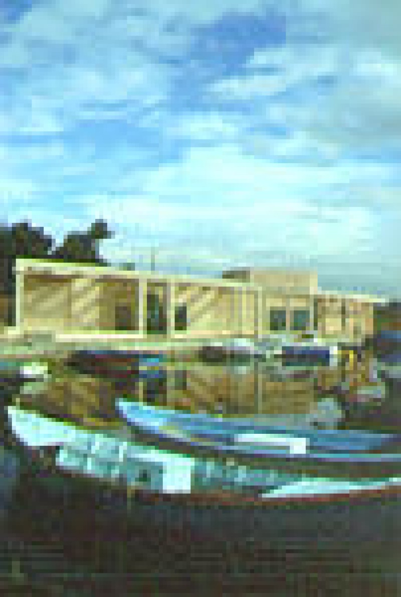 Musée De L'etang De Thau Bouzigues