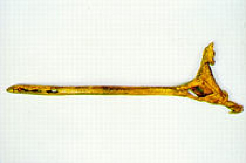 Musée De La Préhistoire Le Mas D'azil