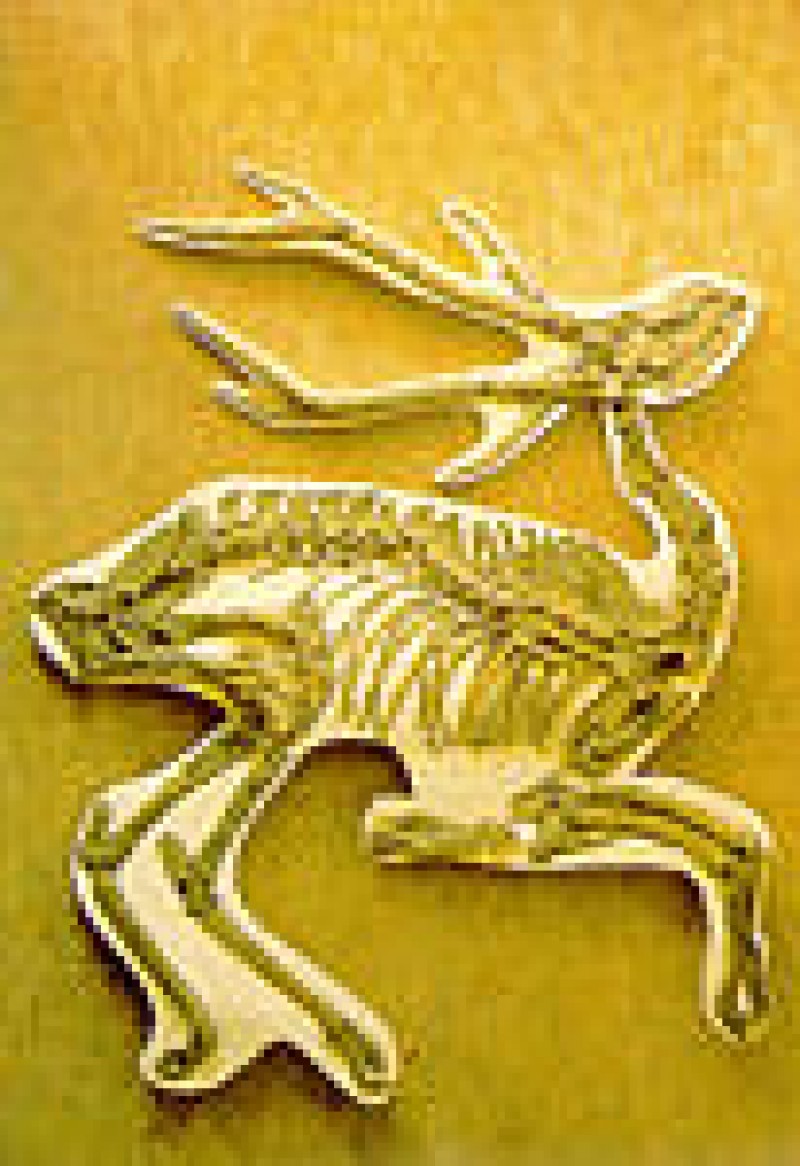 Musée De Paléontologie Chilhac