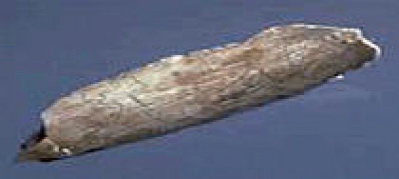 Musée De Préhistoire  Cabrerets