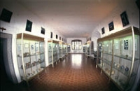 Musée Départemental De Préhistoire Corse Sartène