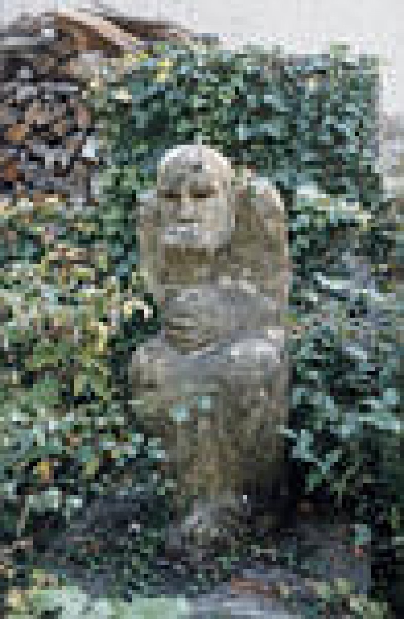 Musée Du Chablais Thonon-les-bains