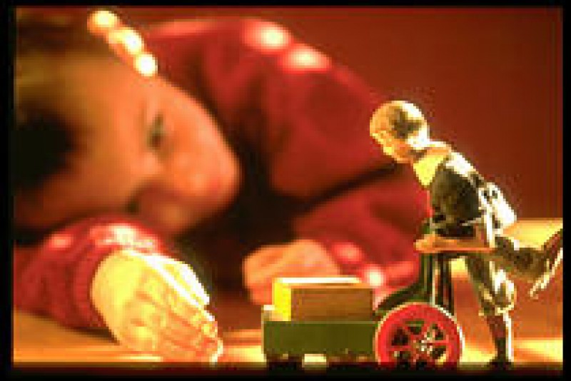 Musée Du Jouet La Ferté-macé