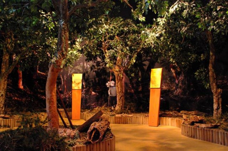 Musée Du Liège Et Du Bouchon Mezin