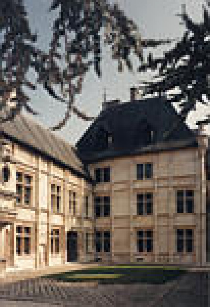Musée Charles Friry Remiremont