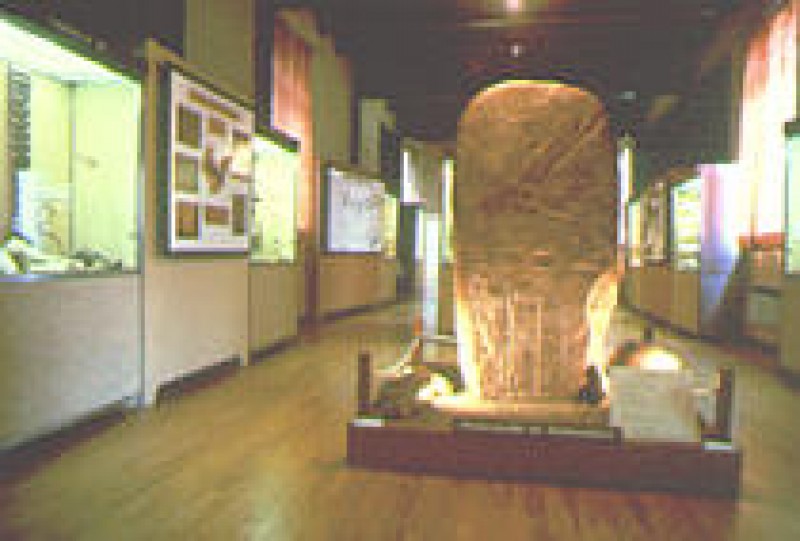 Musée Municipal De Préhistoire Régionale Saint-pons-de-thomières