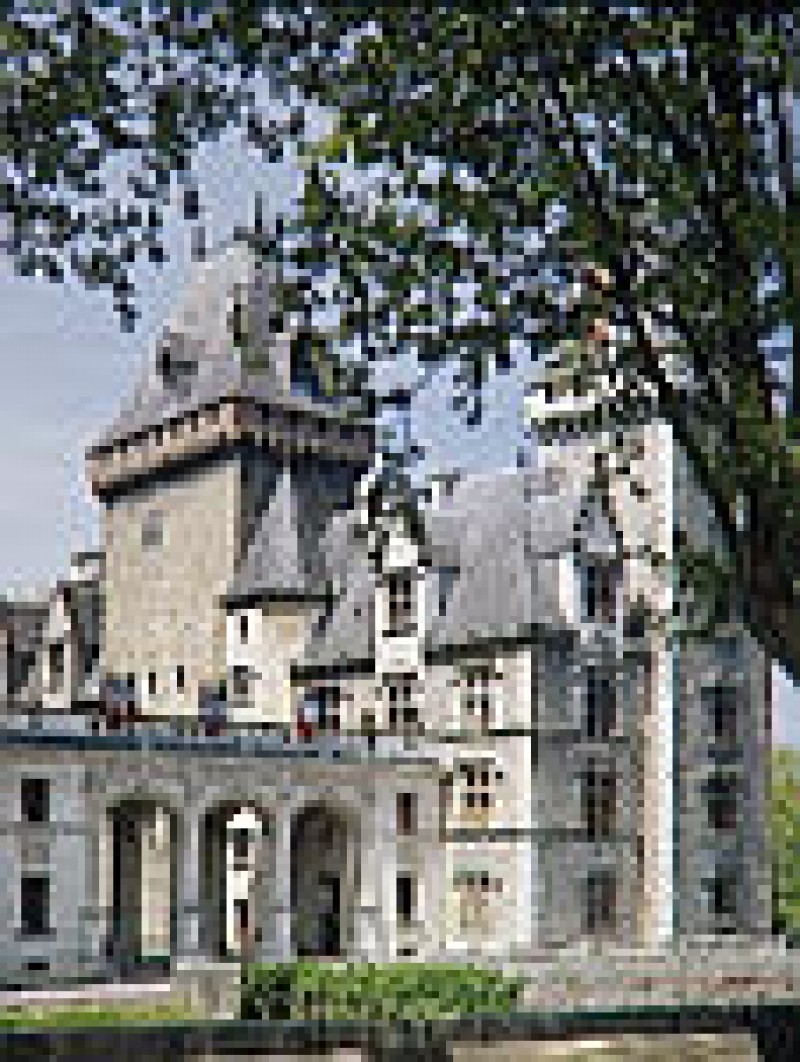 Musée national du château de Pau