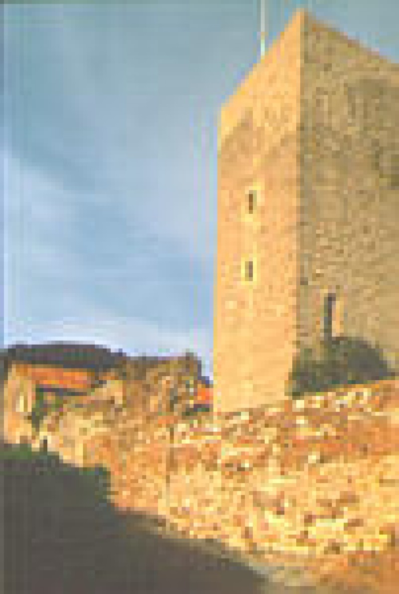 Mus&eacute;e de La Castre de Cannes