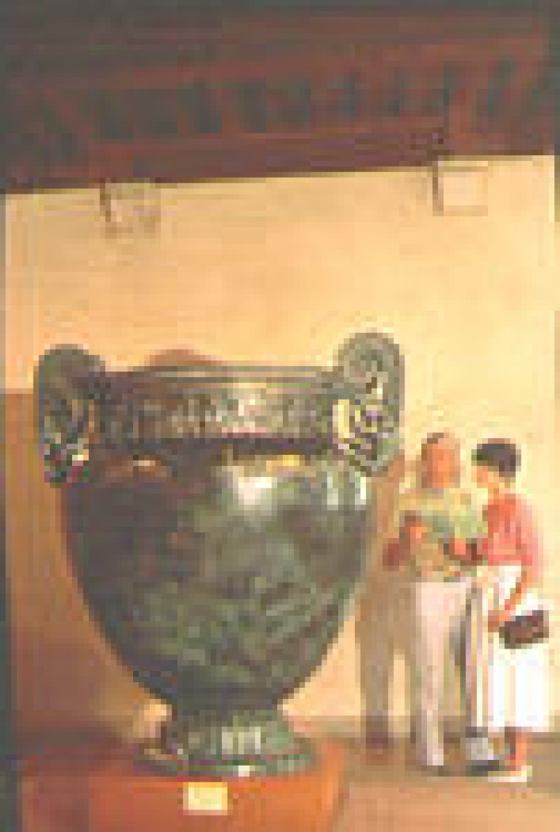 Mus&eacute;e du Ch&acirc;tillonnais