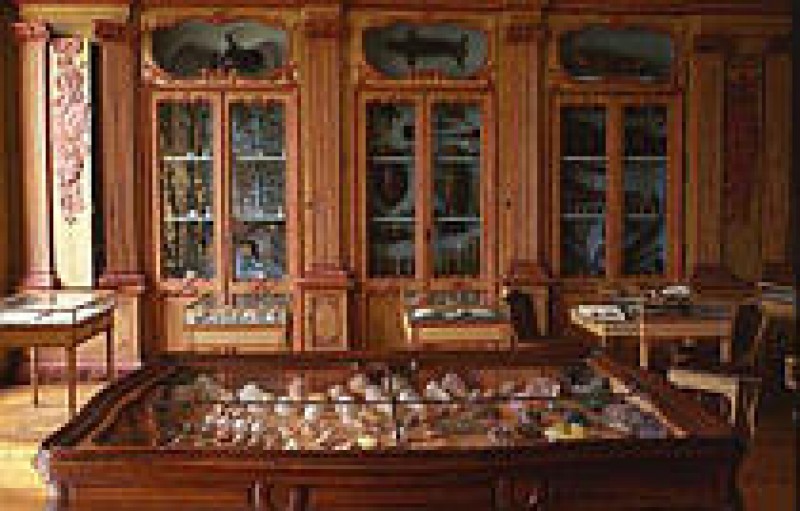 Mus&eacute;um d'Histoire Naturelle de La Rochelle