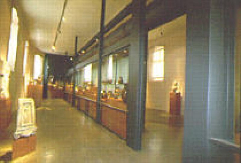 Mus&eacute;e d'Arch&eacute;ologie M&eacute;diterran&eacute;enne