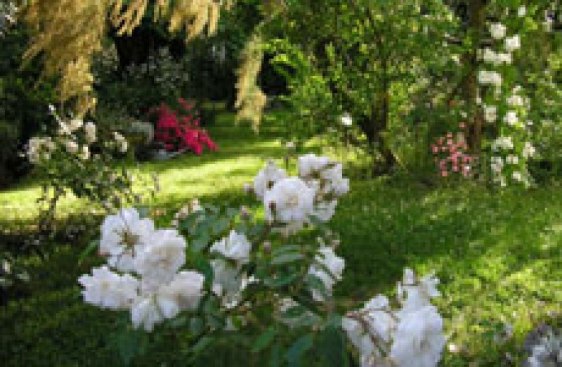 Mus&eacute;e d'Art Moderne et d'Art Contemporain de Nice