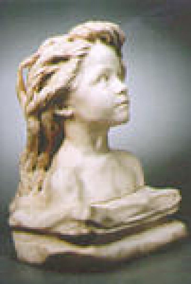 Mus&eacute;e d'Art et d'Industrie - La Piscine