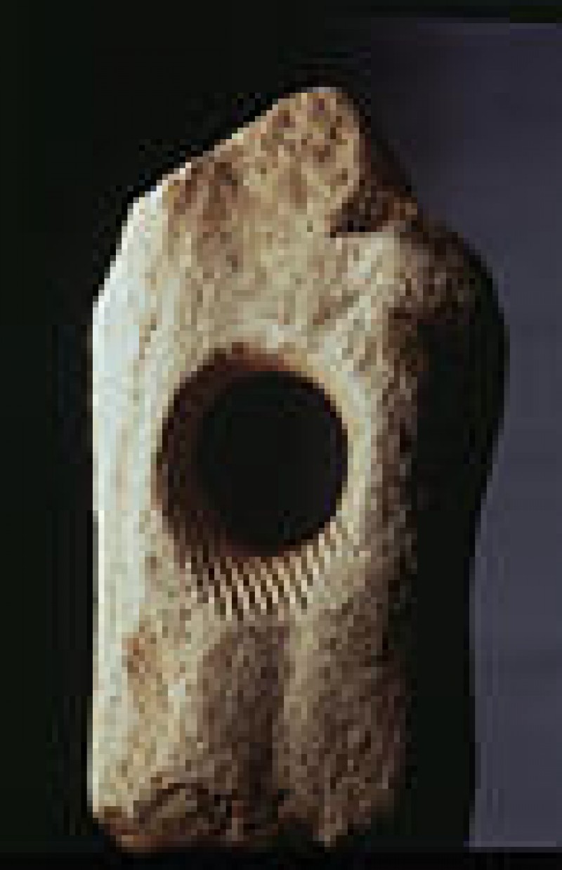 Mus&eacute;e D&eacute;partemental de Pr&eacute;histoire