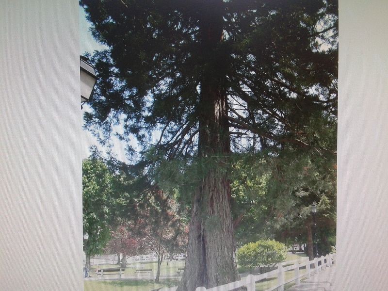 Musée de La Conscription