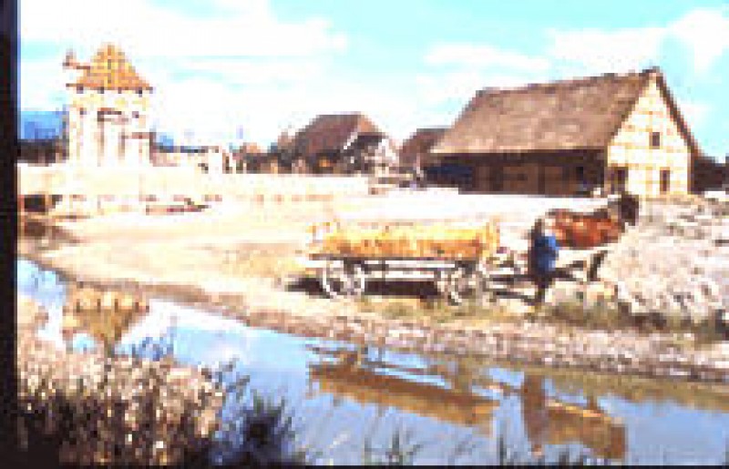 Ecomus&eacute;e de Haute-Alsace