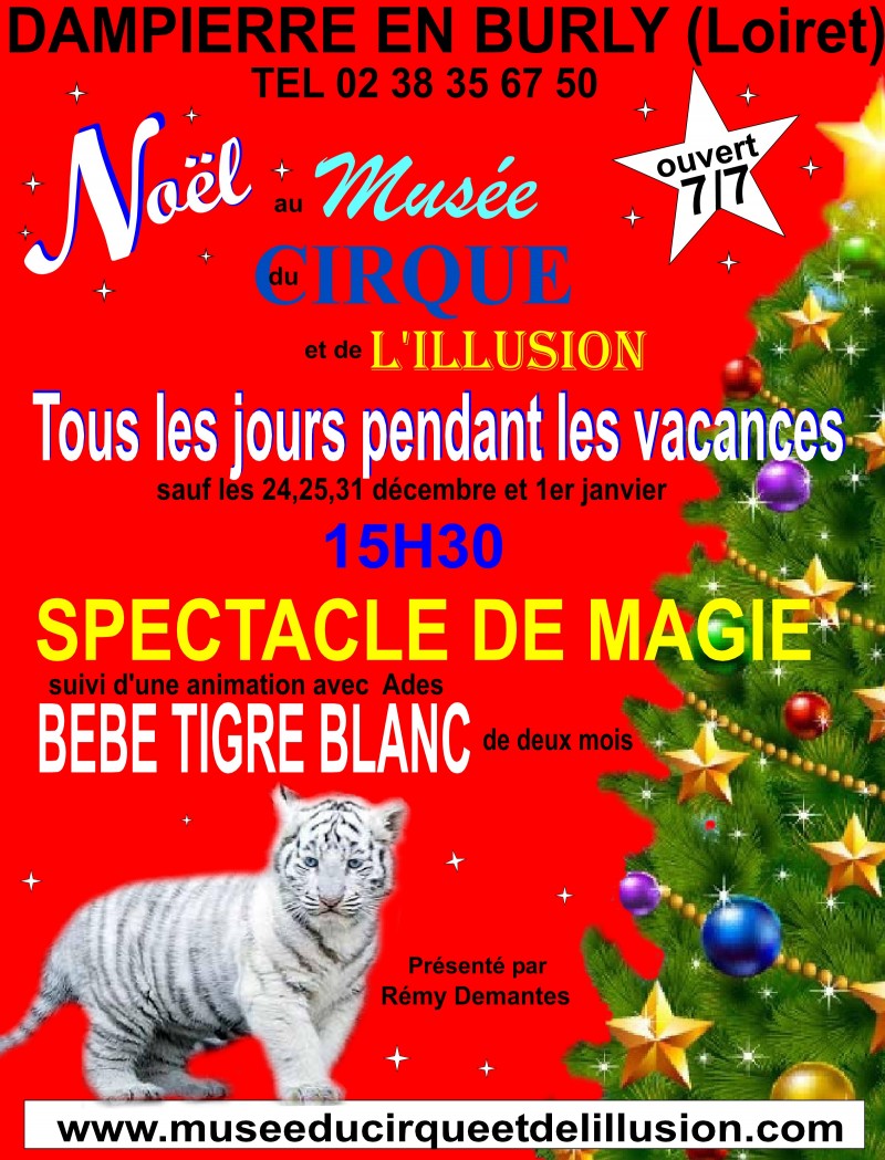 musee du cirque et de l'illusion