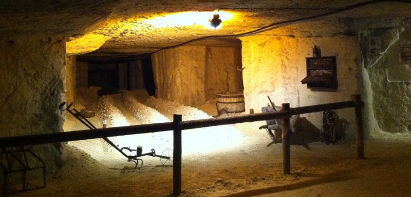 La Galerie du Champignon