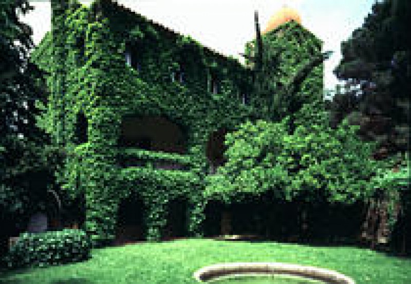 Mus&eacute;e d'Art Moderne Fonds Pesk&eacute;