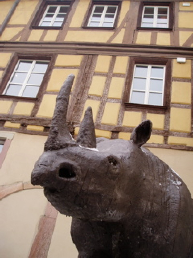 Mus&eacute;um d'histoire naturelle