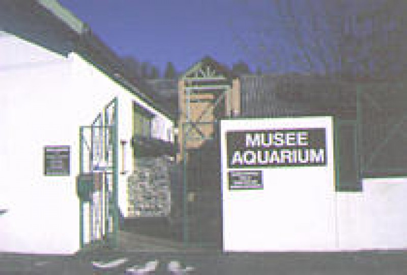 Mus&eacute;e Aquarium