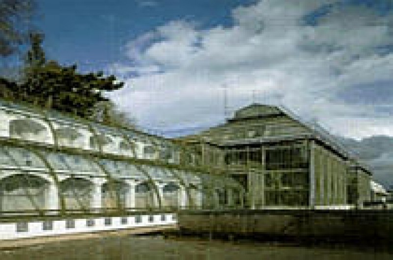 Mus&eacute;um national d'histoire naturelle - Serres tropicales et Mexicaines