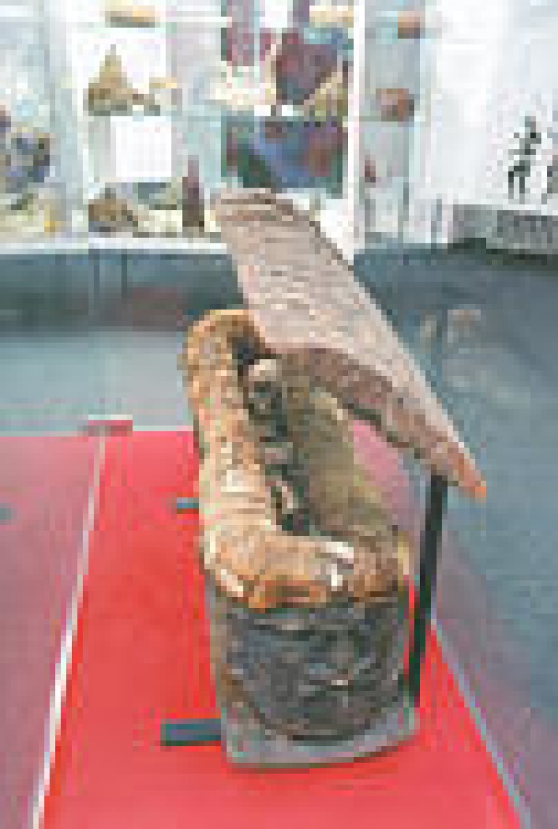 Mus&eacute;e d'art et d'histoire