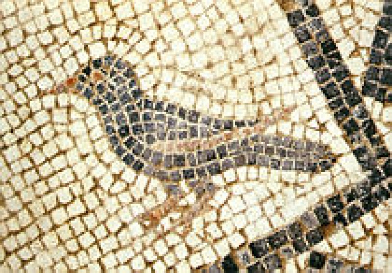 Mus&eacute;e d'Arch&eacute;ologie Tricastine de Saint-Paul-Trois-Ch&acirc;teaux ; Salle d'exposition de l'Archidiacre