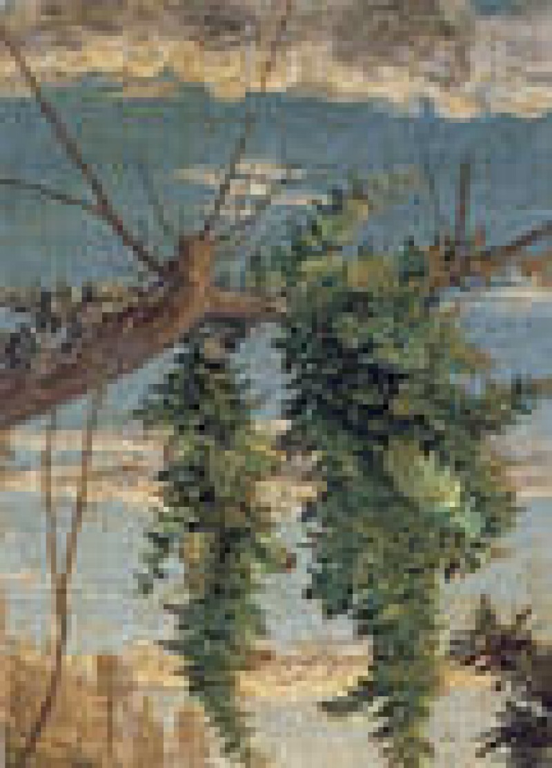 Mus&eacute;e des Beaux-Arts