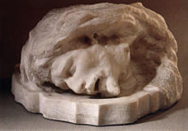 Mus&eacute;e Municipal