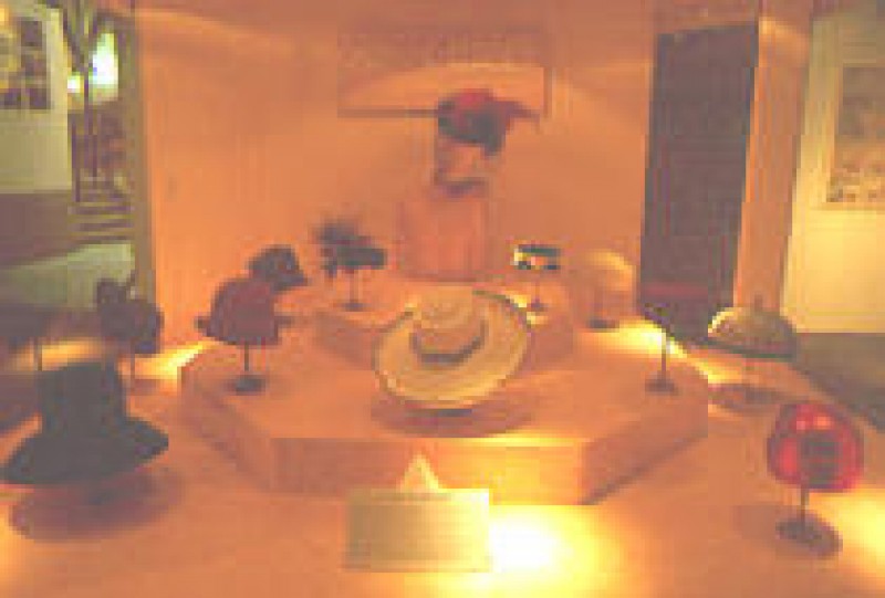 Mus&eacute;e du Chapeau de Chazelles-sur-Lyon