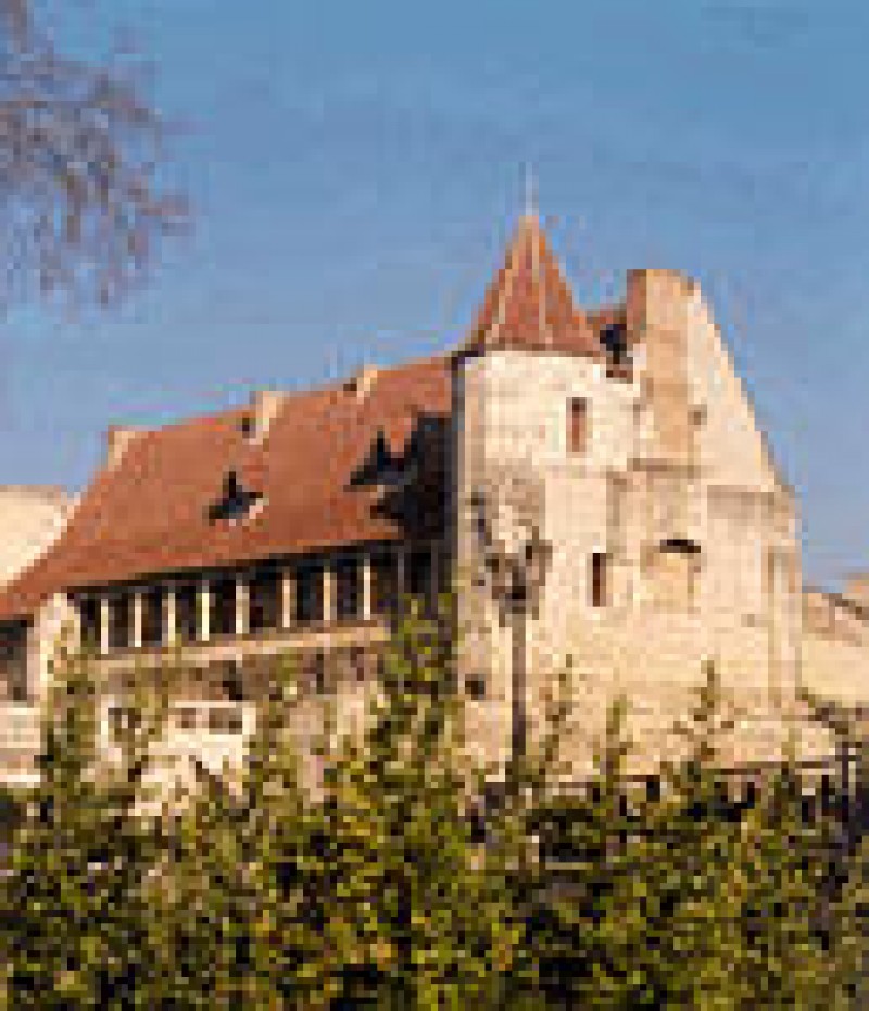 Mus&eacute;e du Ch&acirc;teau Henri IV