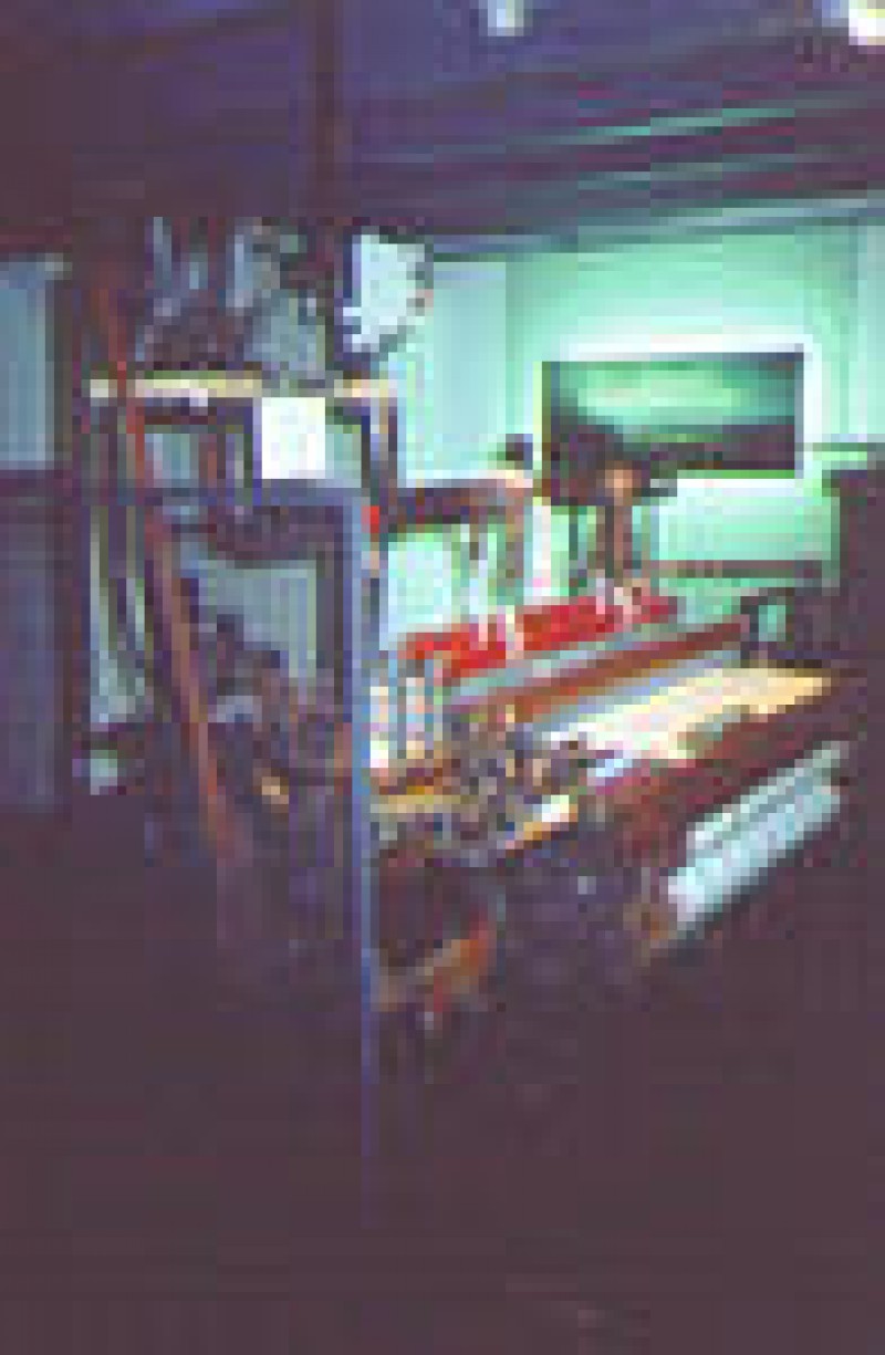 Ecomus&eacute;e du Roannais &agrave; Roanne