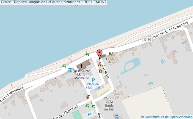 "Reptiles, amphibiens et autres bizarreries "