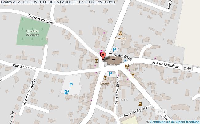 A LA DECOUVERTE DE LA FAUNE ET LA FLORE