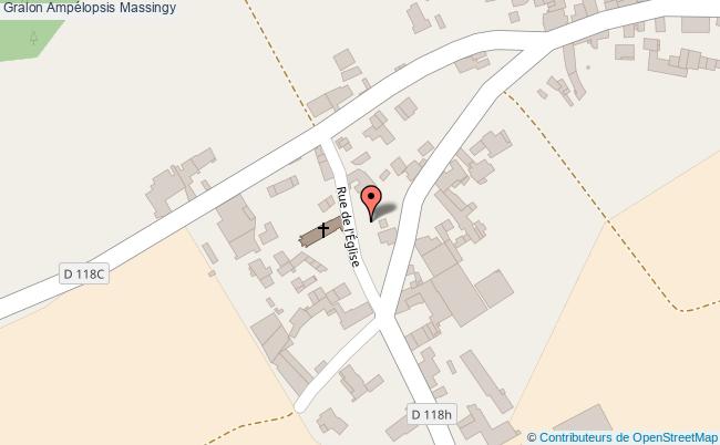 plan Ampélopsis Massingy Massingy