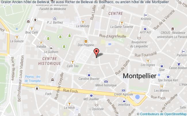 plan Ancien Hôtel De Belleval, Dit Aussi Richer De Belleval Ou Boulhaco, Ou Ancien Hôtel De Ville Montpellier Montpellier