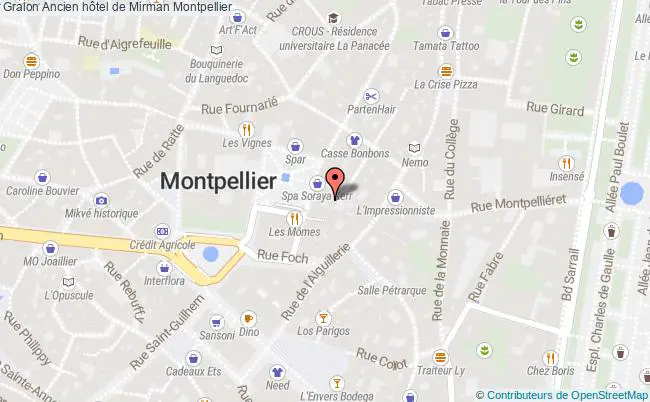 plan Ancien Hôtel De Mirman Montpellier Montpellier