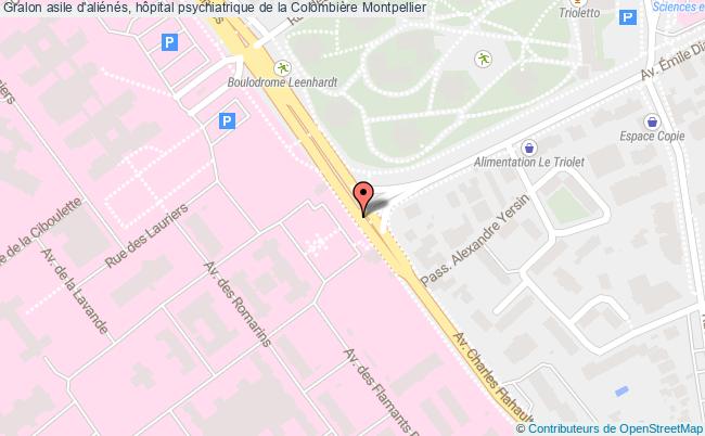 plan Asile D'aliénés, Hôpital Psychiatrique De La Colombière Montpellier Montpellier