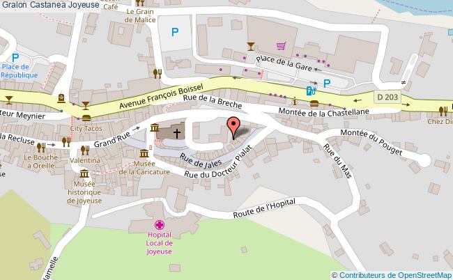 plan Castanea Joyeuse Joyeuse