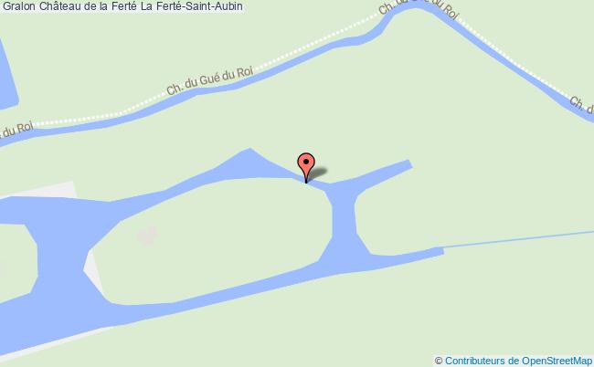 plan Château De La Ferté La Ferté-saint-aubin La Ferté-Saint-Aubin