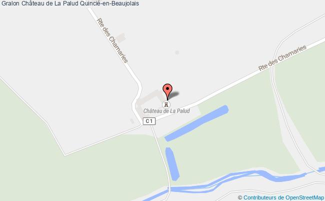 plan Château De La Palud Quincié-en-beaujolais Quincié-en-Beaujolais