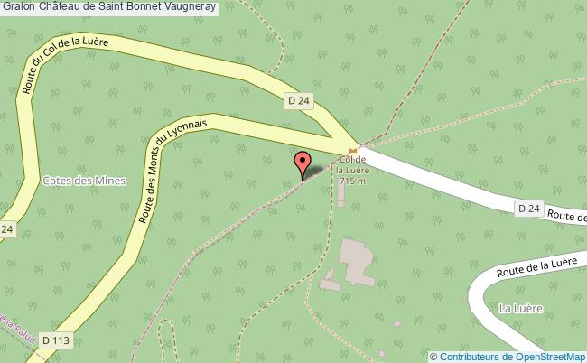 Château de Saint Bonnet