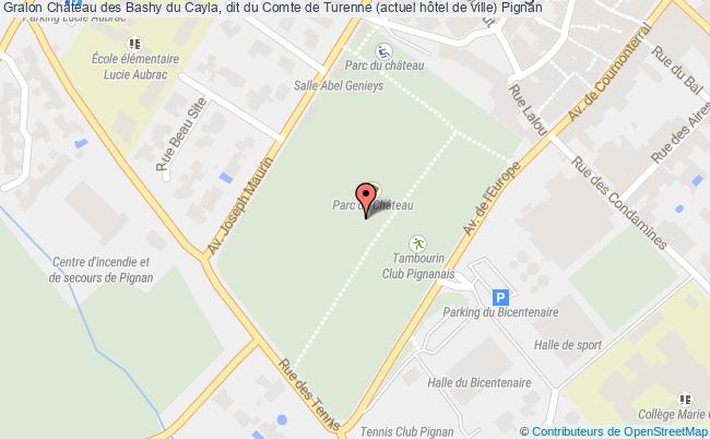 plan Château Des Bashy Du Cayla, Dit Du Comte De Turenne (actuel Hôtel De Ville) Pignan Pignan